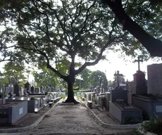 Cemitérios públicos serão privatizados? Entenda medida da Prefeitura de João Pessoa