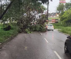 Chuvas intensas provocam transtornos em João Pessoa nesta terça-feira
