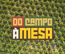 Do Campo à Mesa destaca o coco e mostra como o fruto movimenta a economia e a culinária paraibana