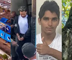 Do transformador gigante ao ataque da leoa: veja 25 fatos que marcaram a Paraíba em 2025