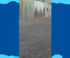 Ex-vereador de Pirpirituba é preso suspeito de agredir cachorro; VÍDEO