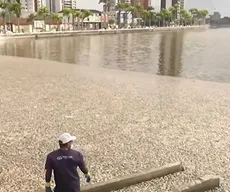 Com 5 toneladas de peixes mortos, MP, Polícia Civil e Defensoria apuram desastre ambiental em CG