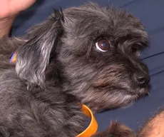 JPB1 estreia série 'É da Família' nesta terça-feira (7)