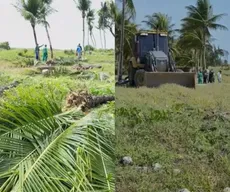 Justiça Federal suspende obras que derrubaram coqueiros na Praia de Camboinha