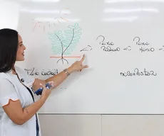 Lá Vem o Enem: videoaula de biologia explica fluxos de energia e matéria