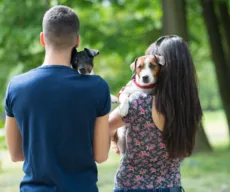 Lei prevê guarda compartilhada de pets; entenda