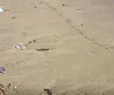 Lixo aparece espalhado pela praia de Manaíra, em João Pessoa