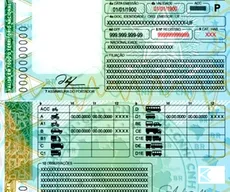 Maioria da bancada da Paraíba vota a favor da exigência de exame toxicológico para primeira CNH