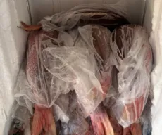 Operação no Litoral da Paraíba interdita bar e autua outro durante fiscalização