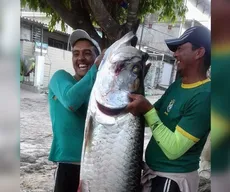 Peixe de 2 metros de comprimento e 70 kg é capturado no Rio Sanhauá