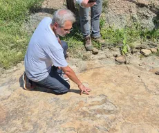 Pesquisa aponta descoberta da maior pegada de dinossauro do Brasil em Sousa, na Paraíba