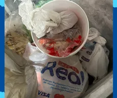 Polícia Civil investiga se pizza de carne de sol na nata causou morte e surto de intoxicação