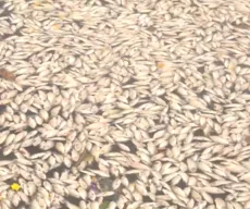 Prefeitura de Campina Grande estuda oxigenar água do Açude Velho após morte de peixes