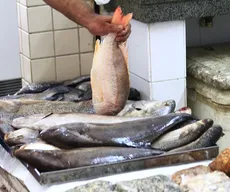 Semana Santa: veja como escolher peixe fresco e evitar prejuízos na hora da compra