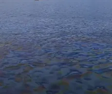 Vazamento de óleo é registrado em área de construção da Ponte do Futuro, no Rio Paraíba