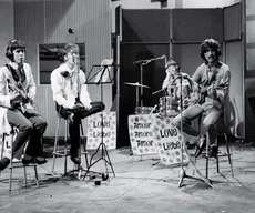 All you need is Beatles