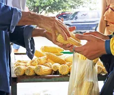 Festival do Milho reúne produtos juninos e agricultores na véspera de São João, em João Pessoa