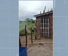 Homem é indiciado suspeito de espancar cachorro e jogar animal em fogueira, em Queimadas