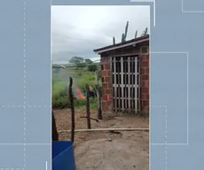 Justiça mantém preso homem suspeito de espancar cachorro e jogá-lo em fogueira em Queimadas