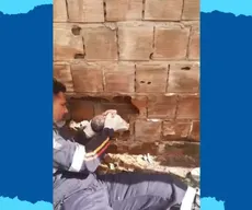 Morte de bebê abandonado: laudo aponta hipotermia e traumatismo craniano