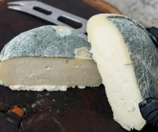 O mofo da Paraíba que virou ouro internacional