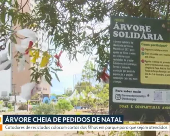 Árvore de Natal solidária: cartinhas de crianças são colocadas em parque de João Pessoa