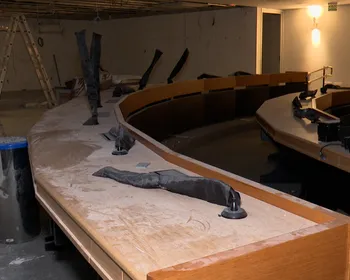 Assembleia faz reforma em plenário enquanto sessões ocorrem virtualmente; VEJA FOTOS