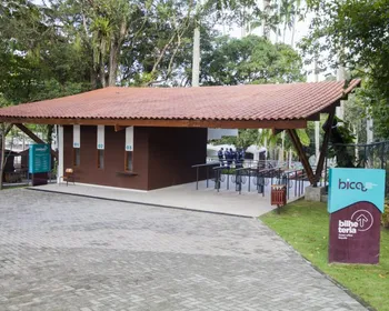 Bica vai reabrir na quinta com visitação liberada após morte de jovem por ataque de leoa