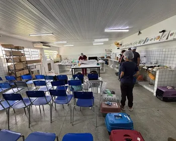 CRMV-PB e PM interrompem mutirão de castração irregular em escola pública de Juripiranga