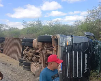 Carreta que transportava cerca de 80 bois tomba no Sertão