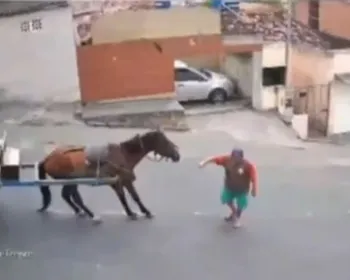 Cavalo fica ferido após acidente com carroça e tutor vai responder por maus-tratos, na PB