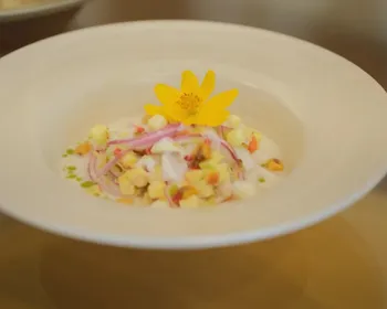 Coco em versão fresh: Do Campo à Mesa reinventa clássico peruano com sabor paraibano