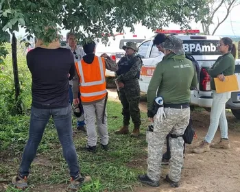 Desmatamento ilegal: 15 propriedades são autuadas em operação na Paraíba