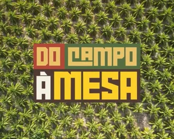 Do Campo à Mesa destaca o coco e mostra como o fruto movimenta a economia e a culinária paraibana