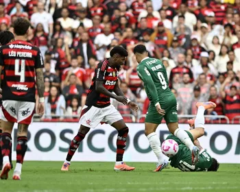 Palmeiras x Flamengo na Libertadores 2025: relembre as campanhas até a final