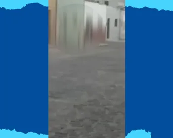 Ex-vereador de Pirpirituba é preso suspeito de agredir cachorro; VÍDEO