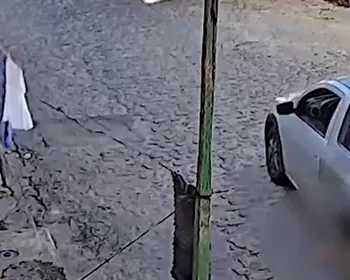 Vídeo: Homem é indiciado por atropelar e matar cachorro em Campina Grande