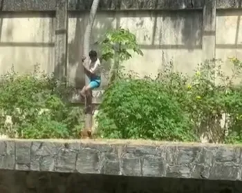 MP abre investigação e dá 15 dias para Prefeitura explicar morte de jovem por leoa na Bica