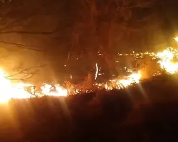Incêndio atinge Vale dos Dinossauros em Sousa e parque tem atividades suspensas