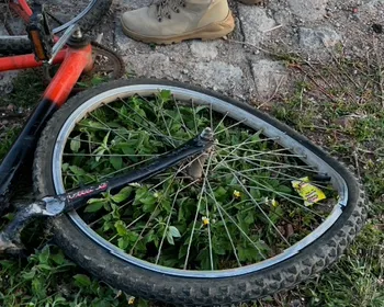 Irmãos morrem atropelados por caminhão de lixo em Sousa