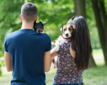 Lei prevê guarda compartilhada de pets; entenda