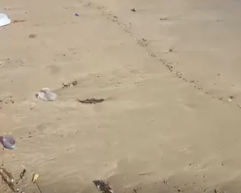 Lixo aparece espalhado pela praia de Manaíra, em João Pessoa