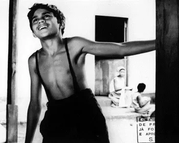 O menino de engenho não teve lugar nem na bagaceira