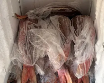 Operação no Litoral da Paraíba interdita bar e autua outro durante fiscalização