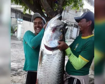 Peixe de 2 metros de comprimento e 70 kg é capturado no Rio Sanhauá