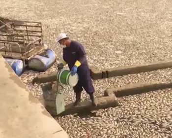 Peixes mortos do Açude Velho são levados para aterro sanitário de Campina Grande
