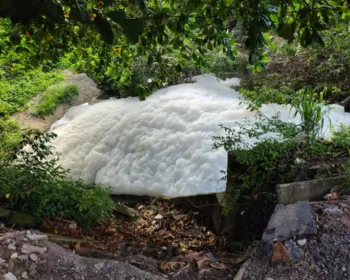 MP entra na Justiça por danos ambientais na Bacia do Rio Jaguaribe, na Grande João Pessoa