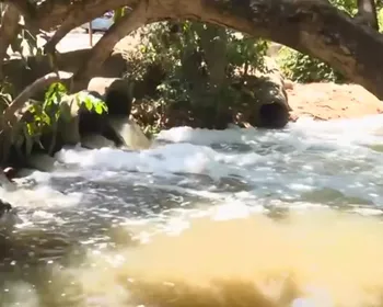 Poluição no Rio do Cabelo preocupa moradores na Zona Sul de João Pessoa
