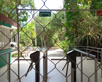 Após morte de jovem por leoa, Bica deve reabrir com quantidade de visitantes limitada