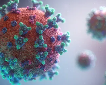 Três novos vírus podem desencadear crises sanitárias em 2026; entenda